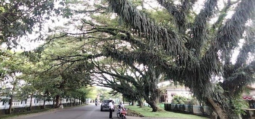 Langkah dan Program DLH Maluku melalui dalam Mengatasi Pencemaran Lingkungan