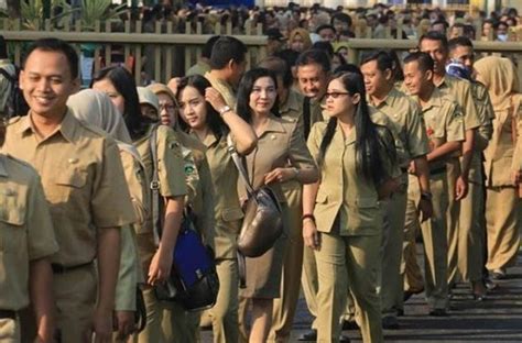 Makin Mahir! Trik Efisien Latihan Soal SKD Intensif Setelah Tryout CPNS di Tryout.id