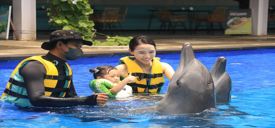 Program Wisata Swim With Dolphin, Kesempatan Unik Untuk Mengamati dan Berinteraksi dengan Lumba-Lumba Bali
